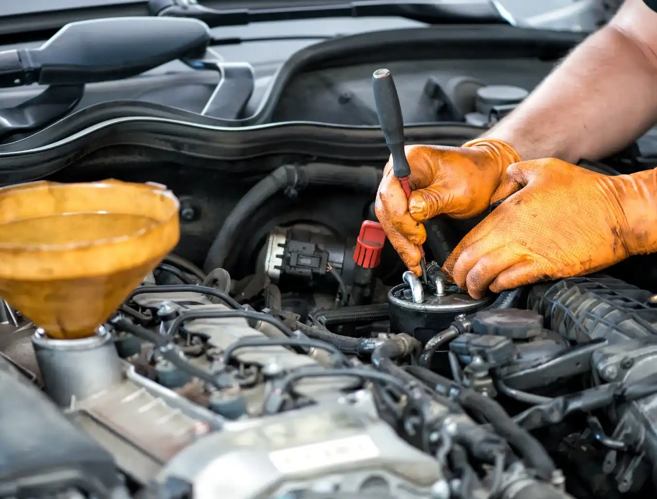 Professionelle DPF-Reinigung in Schaafheim